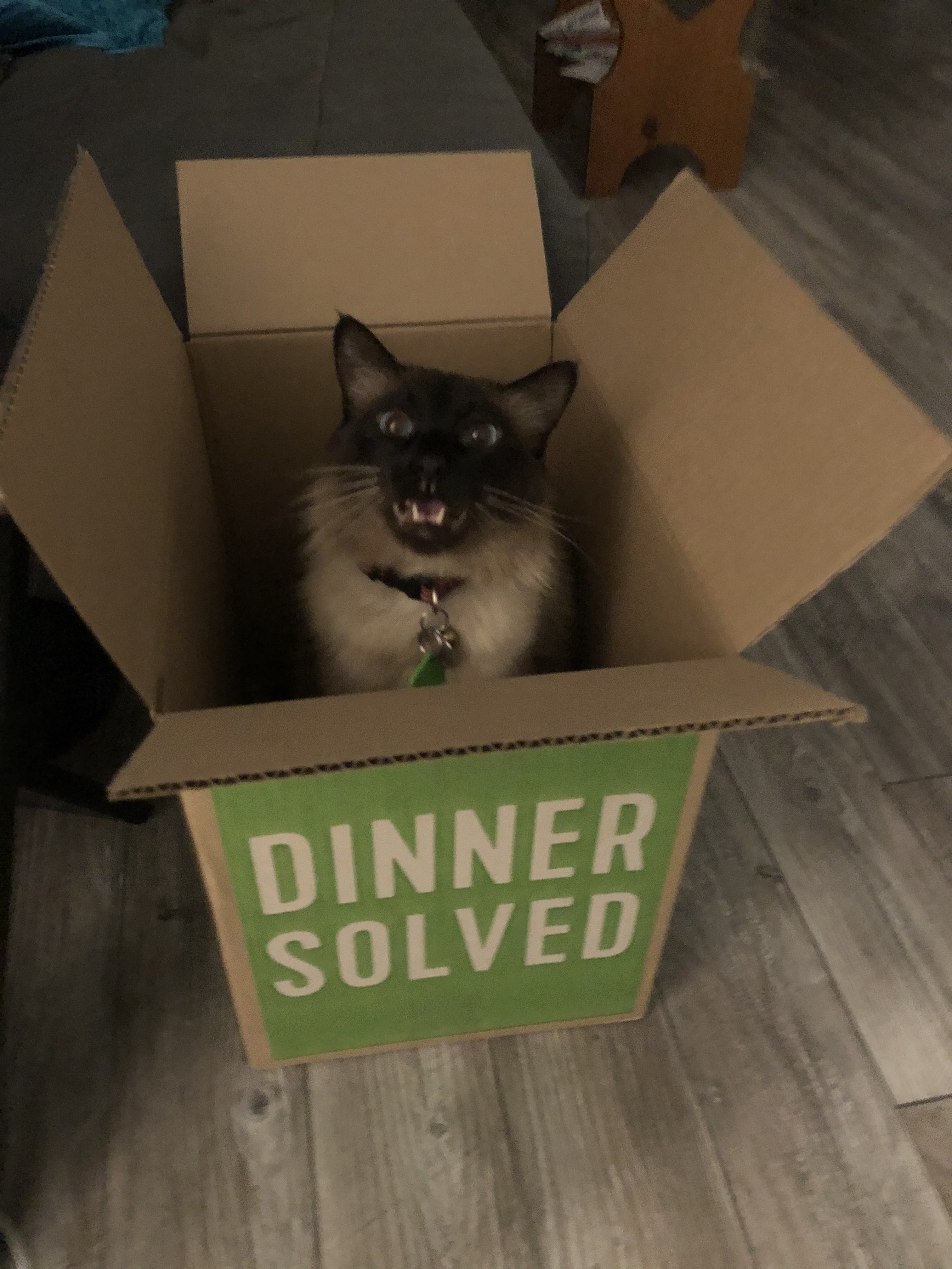 eats.jpg