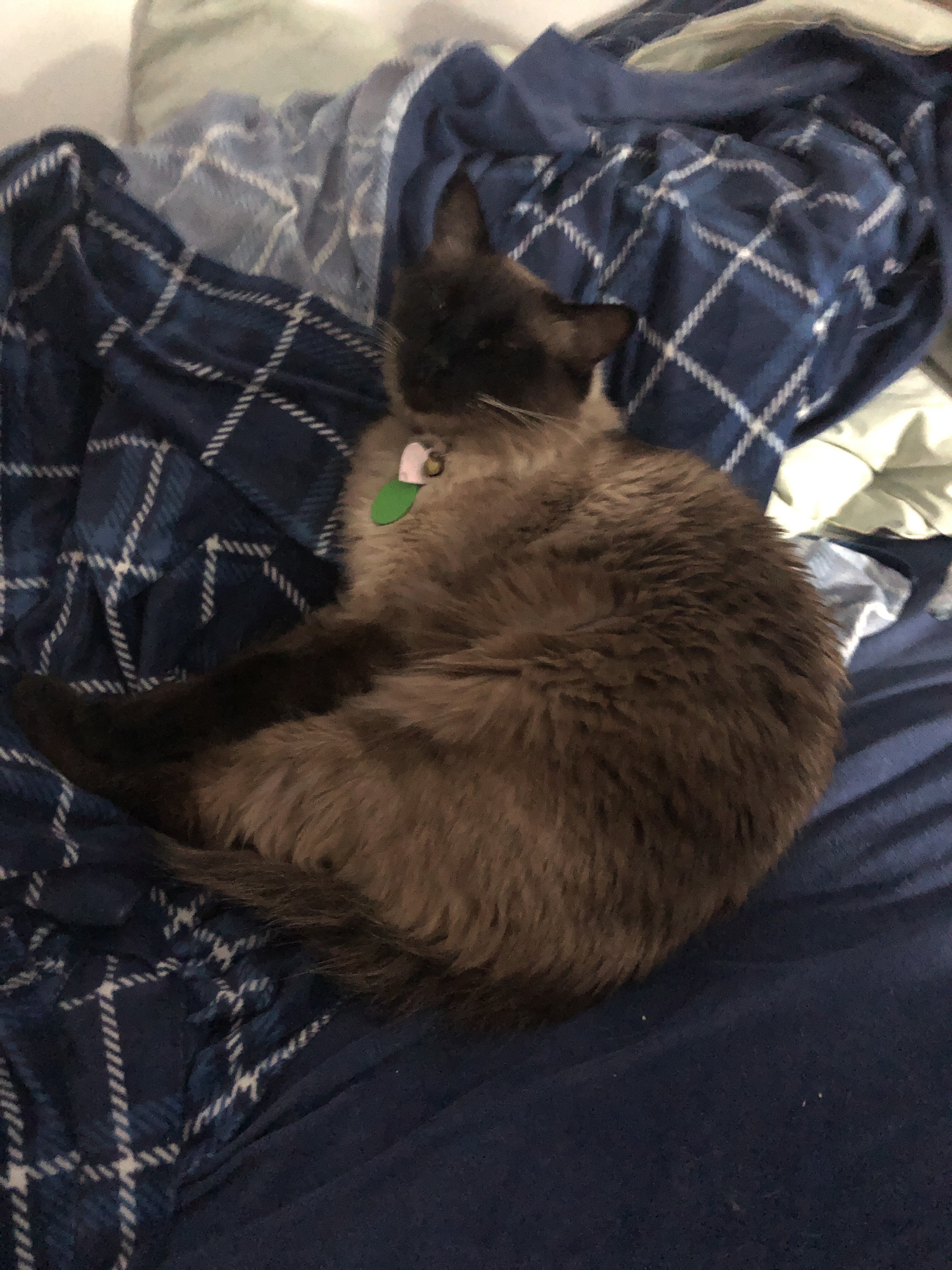 sleepball.jpg